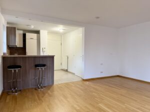 Eingangsbereich/Küche